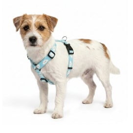 Arnes Patitas Clasic Nubes para Perro Arneses para perro Patitas&co