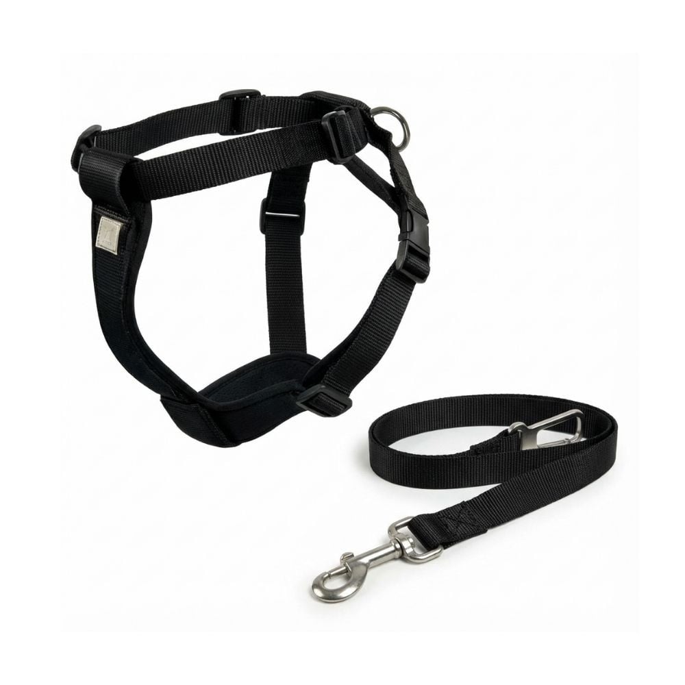 Arnés de Seguridad y Correa de Coche para Perros Seguridad y Viaje para Perro Patitas&co