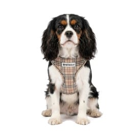 Pack Patitas Cuadros Arnés + Correa + Portabolsas Accesorios de Paseo para Perro Patitas&co