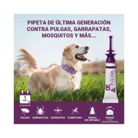 Pipeta Antiparasitaria Vectra 3D para Perro (3 uds) +40kg Patitas&co Patitas&co