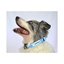 Collar Patitas de Nube Accesorios de Paseo para Perro Patitas&co