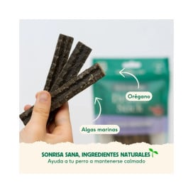 Wild Balance Stick Dental Fuera Placa con Algas Marinas Comida natural para perros Patitas&co