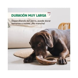 Wild Balance Mordedor Cuerno de Cabra (ud) Mordedores para Perros Patitas&co