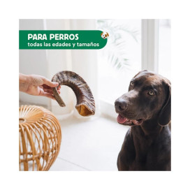 Wild Balance Mordedor Cuerno de Cabra (ud) Mordedores para Perros Patitas&co