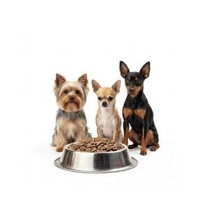 Perros Mini