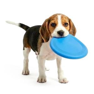 Frisbees