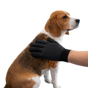 Guantes y Manoplas