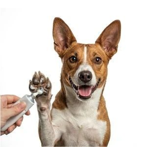 Protector de almohadillas