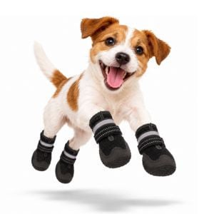 Botas