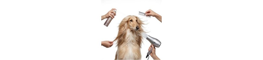 Accesorios de Peluquería para Perros