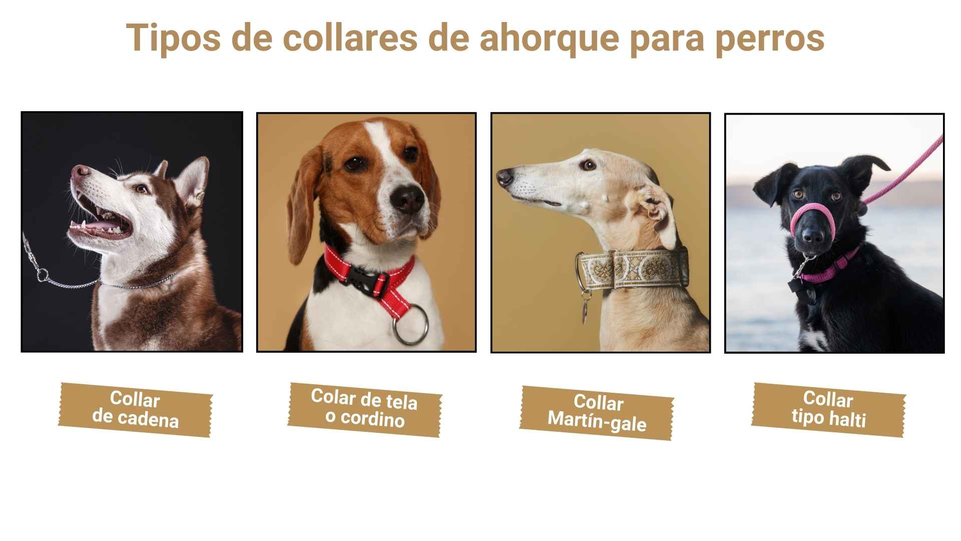 Tipos de collares de ahorque para perros