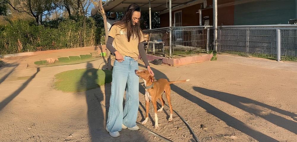 Cuidado y bienestar animal