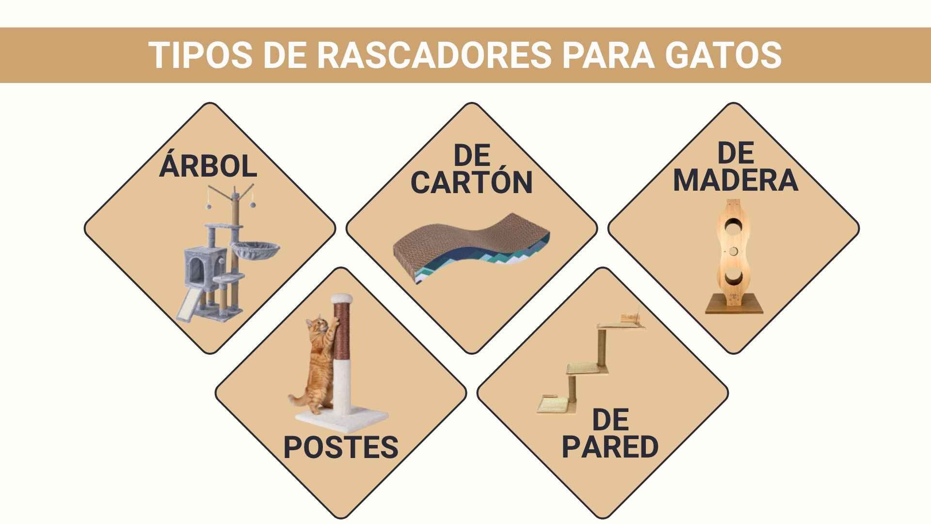 Infografía tipos de rascadores para gatos