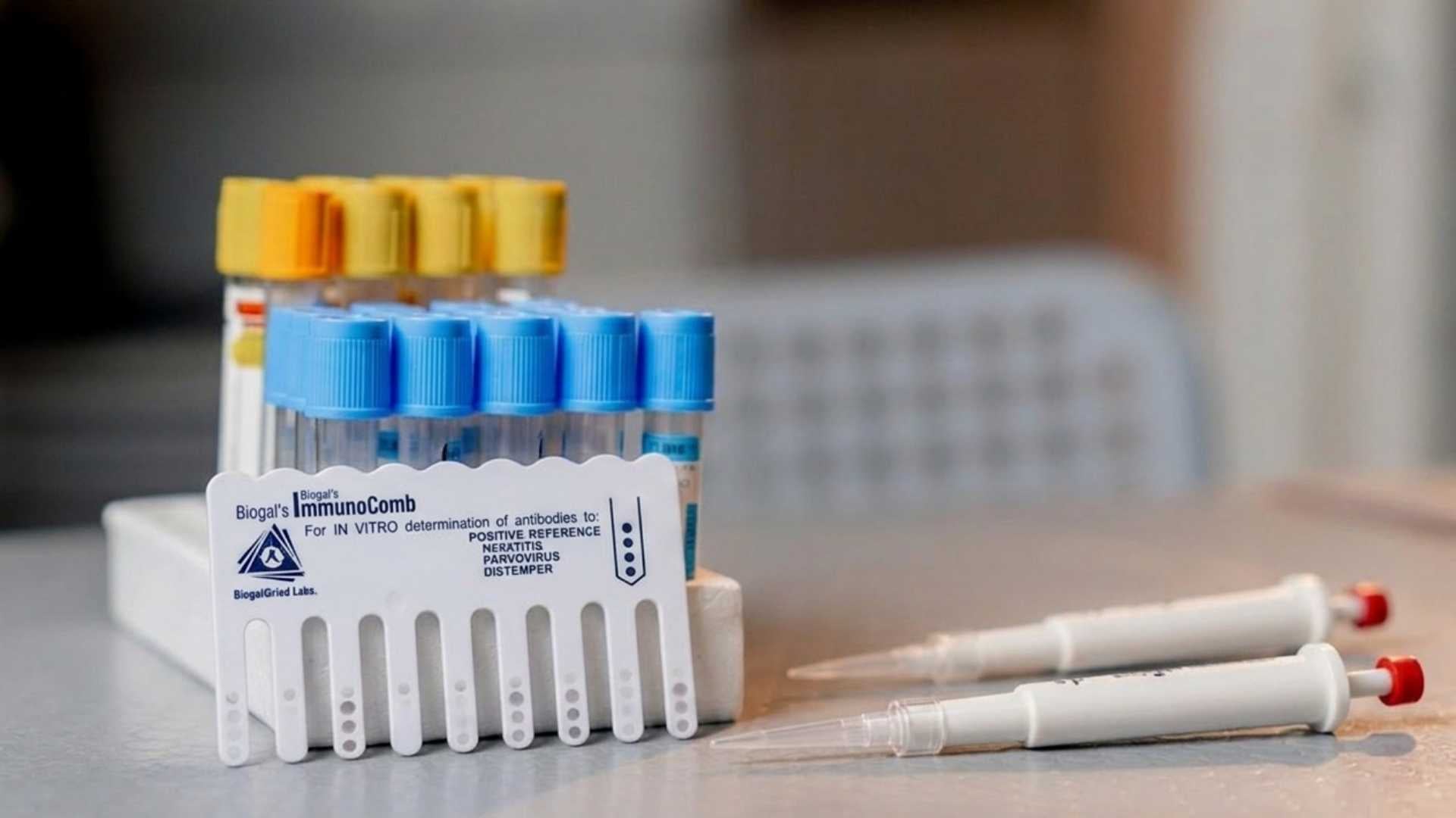 Vaccicheck perros