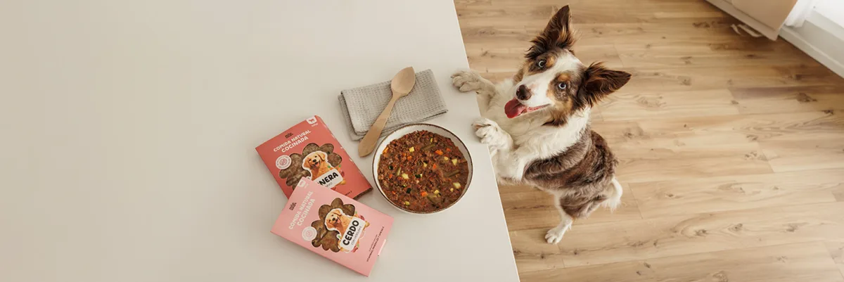 Milo y Lola: comida natural cocinada, recién hecha en casa