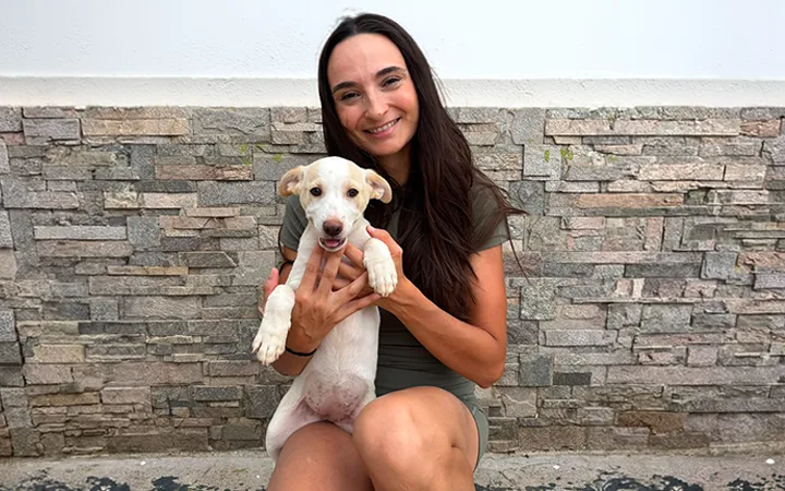 Perros en el refugio en semilibertad de Patitas & Rescue.