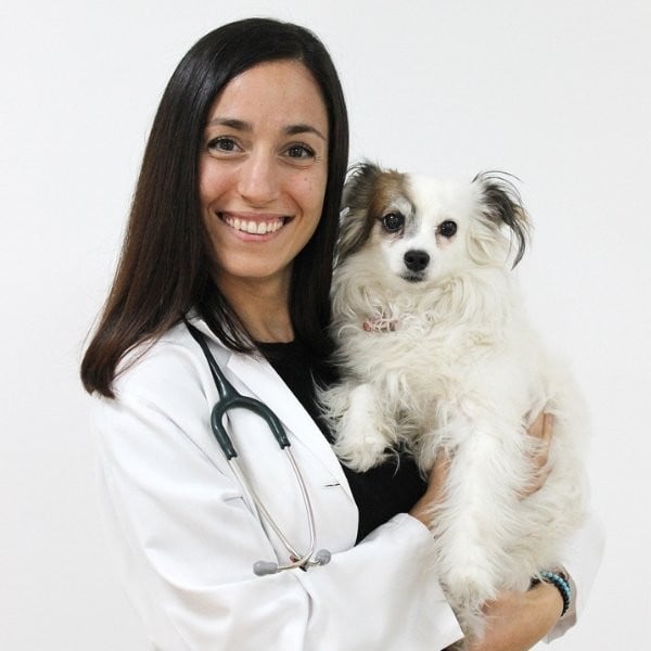 Veterinaria especialista en dietética, nutrición y coach nutricional