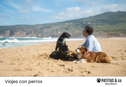Playas para Perros de Barcelona y Cataluña [Guía Patitas Playeras 2025]