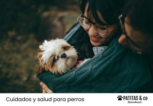 Salud de tu mascota: alimentación natural, educación y asesoramiento nutricional