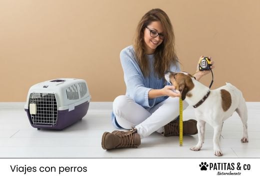¿Cómo medir a tu perro para elegir el transportín perfecto (sin equivocarte)?