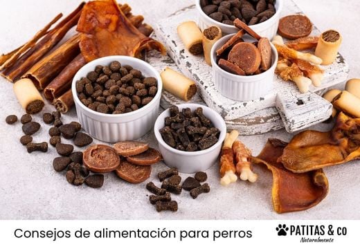 ¿Cómo preparar en casa snacks deshidratados para perros?