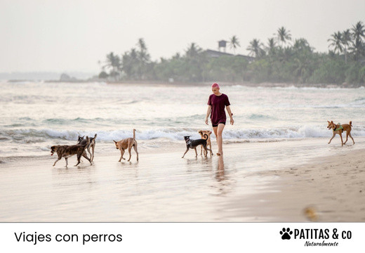 Playas para Perros en España [Guía Patitas Playeras 2025]